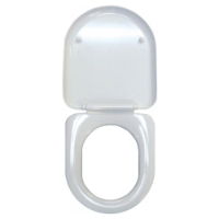 Chartham Rimless Soft Close Toilet Seat and Cover